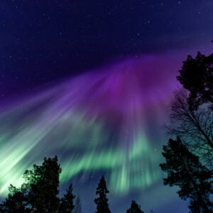 Northern Lights Holidays - purple aurora borealis