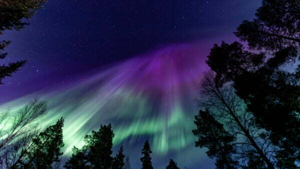 Northern Lights Holidays - purple aurora borealis
