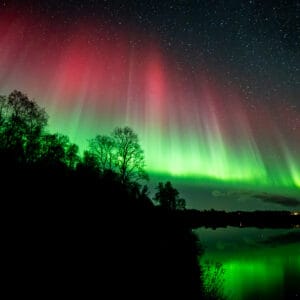 Northern Lights behind trees