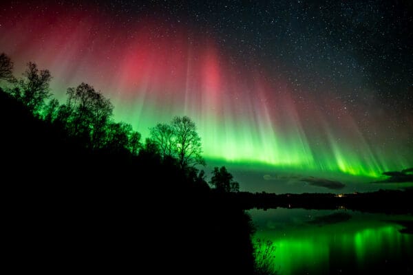 Northern Lights behind trees