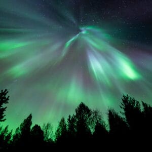 Northern Lights Corona