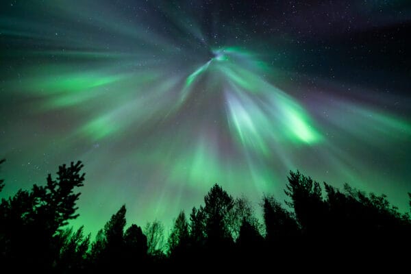 Northern Lights Corona